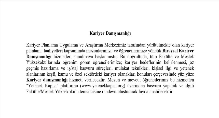 Kariyer Dnaışmanlığı