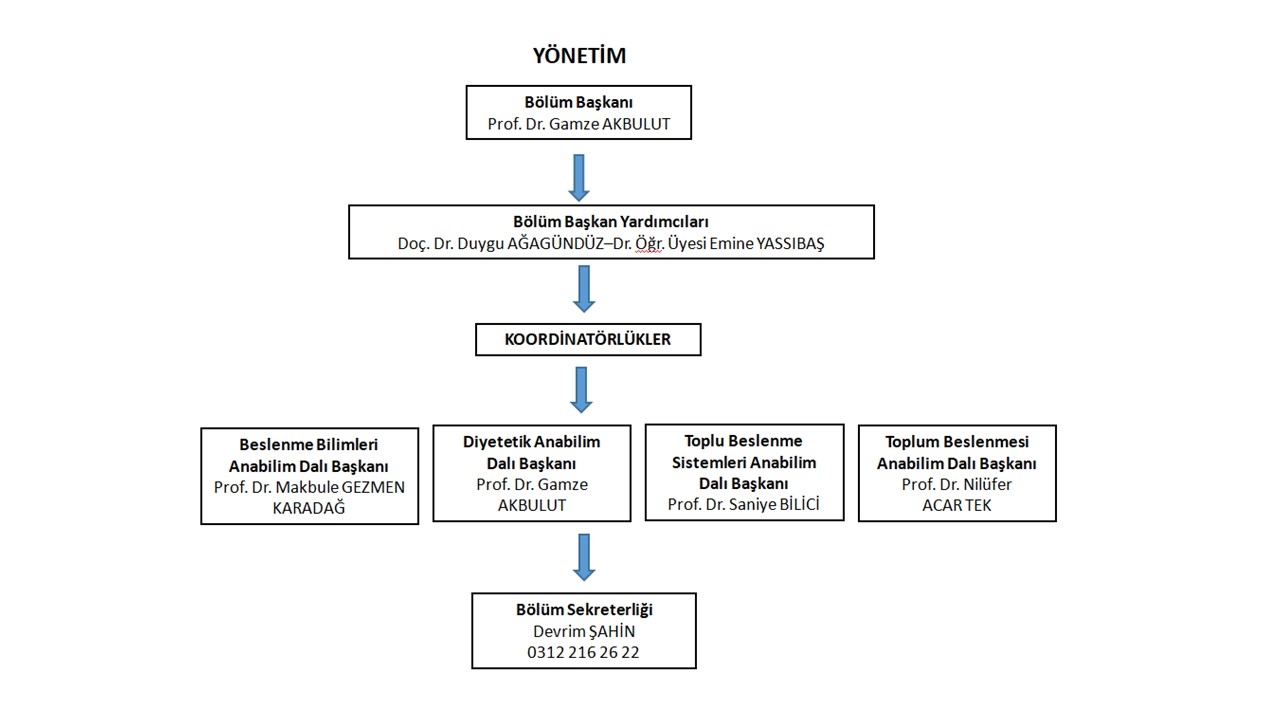 Yönetim Şeması-1