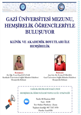 Klinik ve Akademik Boyutları ile Hemşirelik