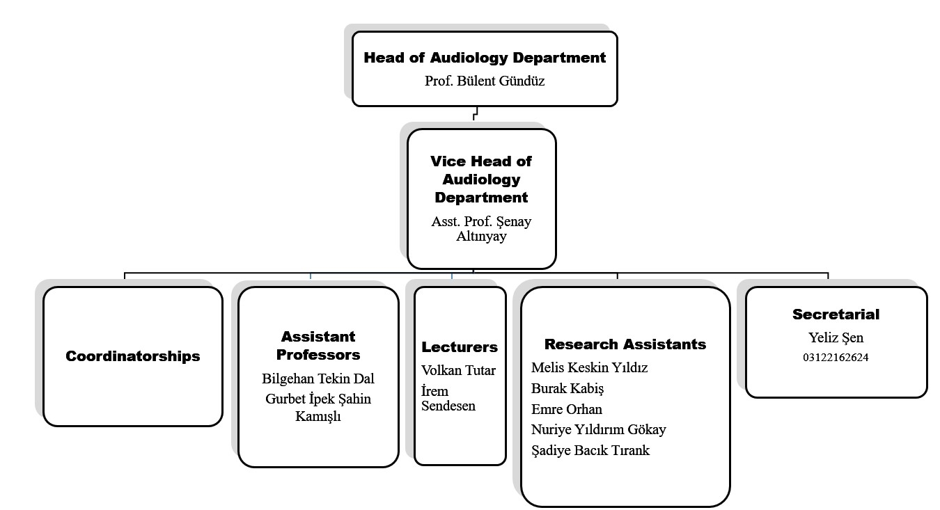 Organization Chart 27.07.2022-1