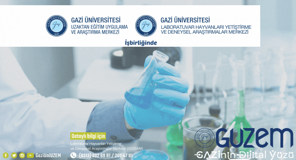 38. Deney Hayvanları Uygulama ve Etik Kursu