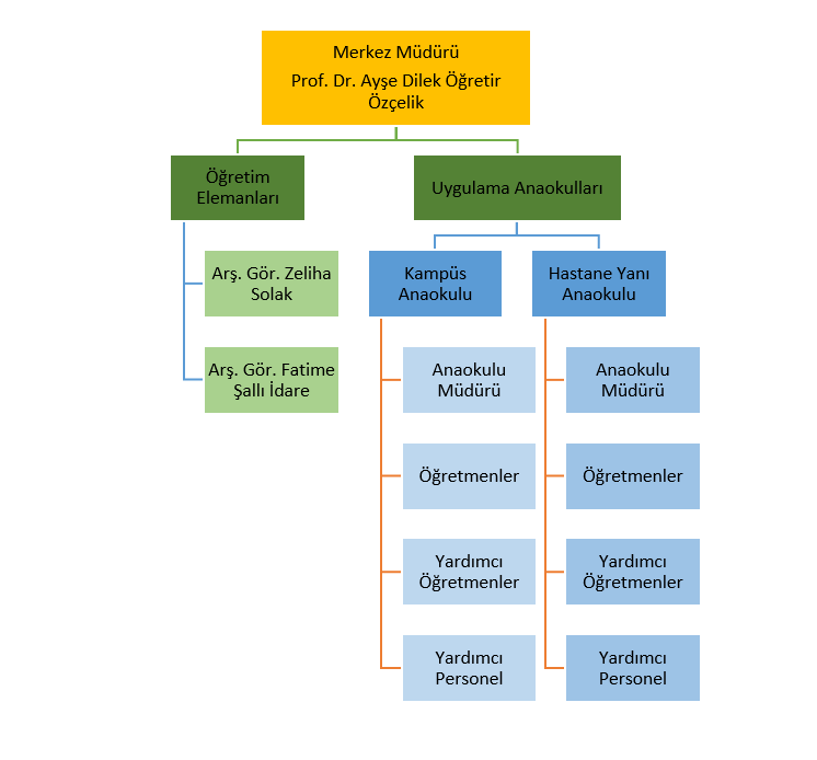 Organizasyon Şeması-1