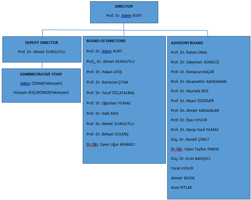 Organization Chart-1