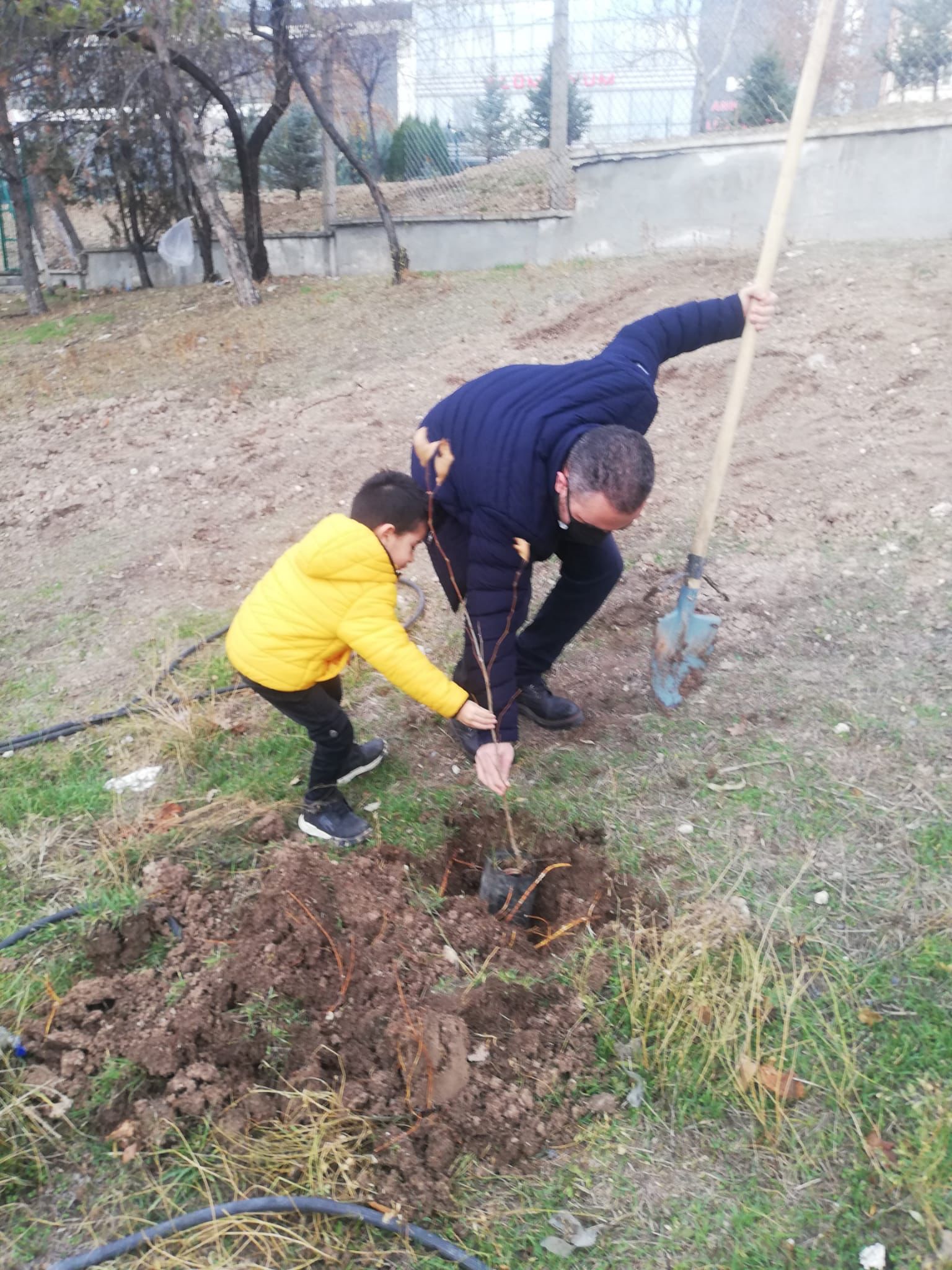 Bir Dikili Ağacımız Olsun-1