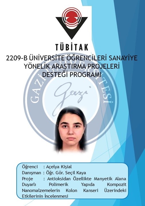 TÜBİTAK 2209-B-2-1