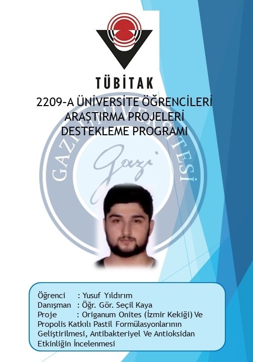 TÜBİTAK 2209-B-3-1