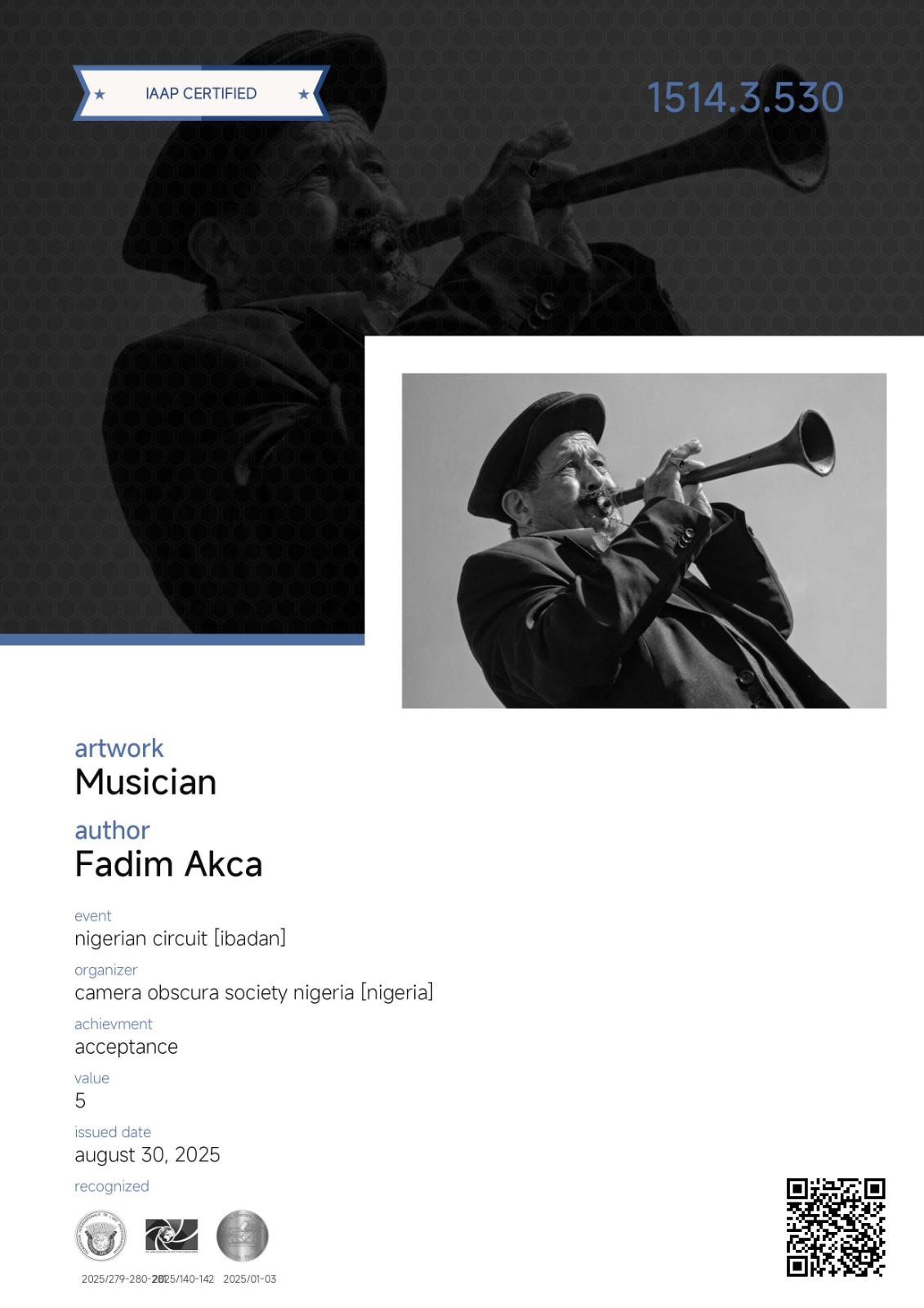 Uluslararası Fotoğraf Sanatçısı (AFIAP)-1