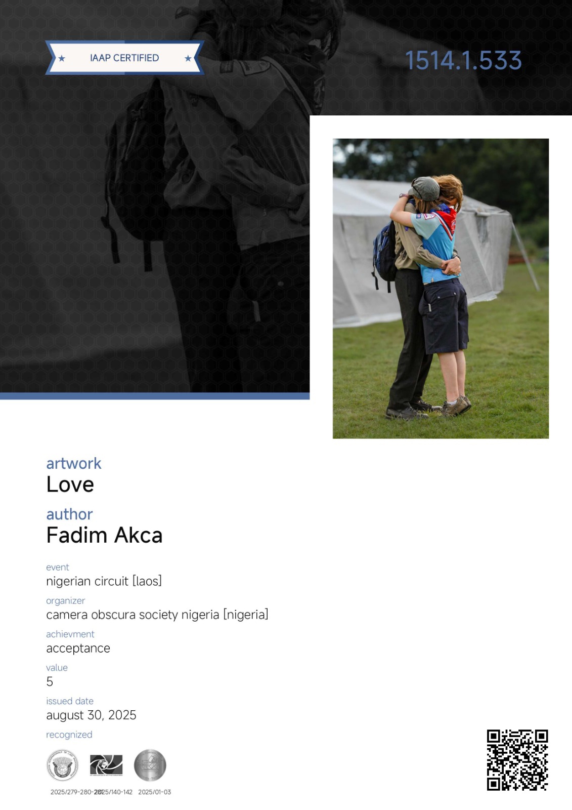 Uluslararası Fotoğraf Sanatçısı (AFIAP)-1