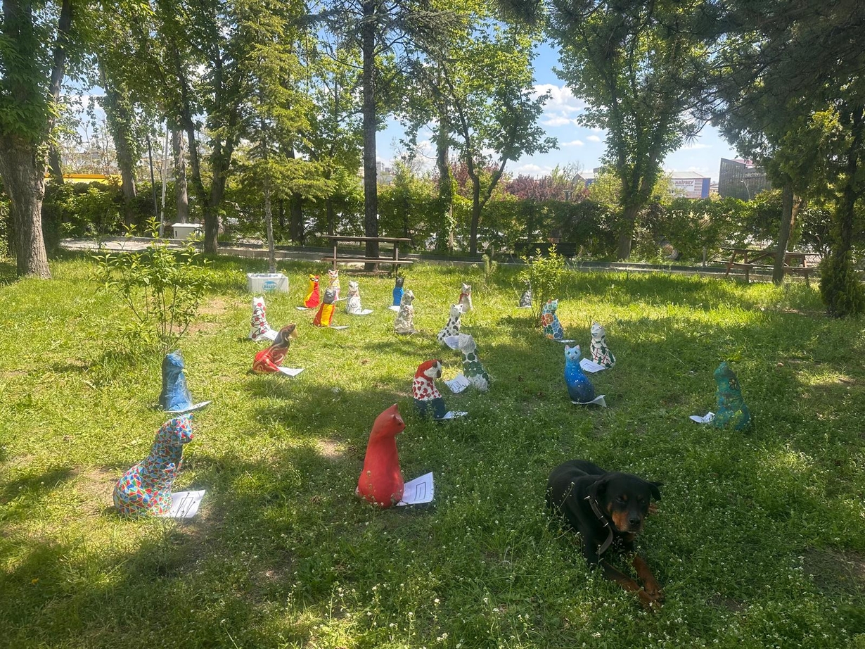 Sevgiyle Yaşat Projesi Gerçekleştirildi-1
