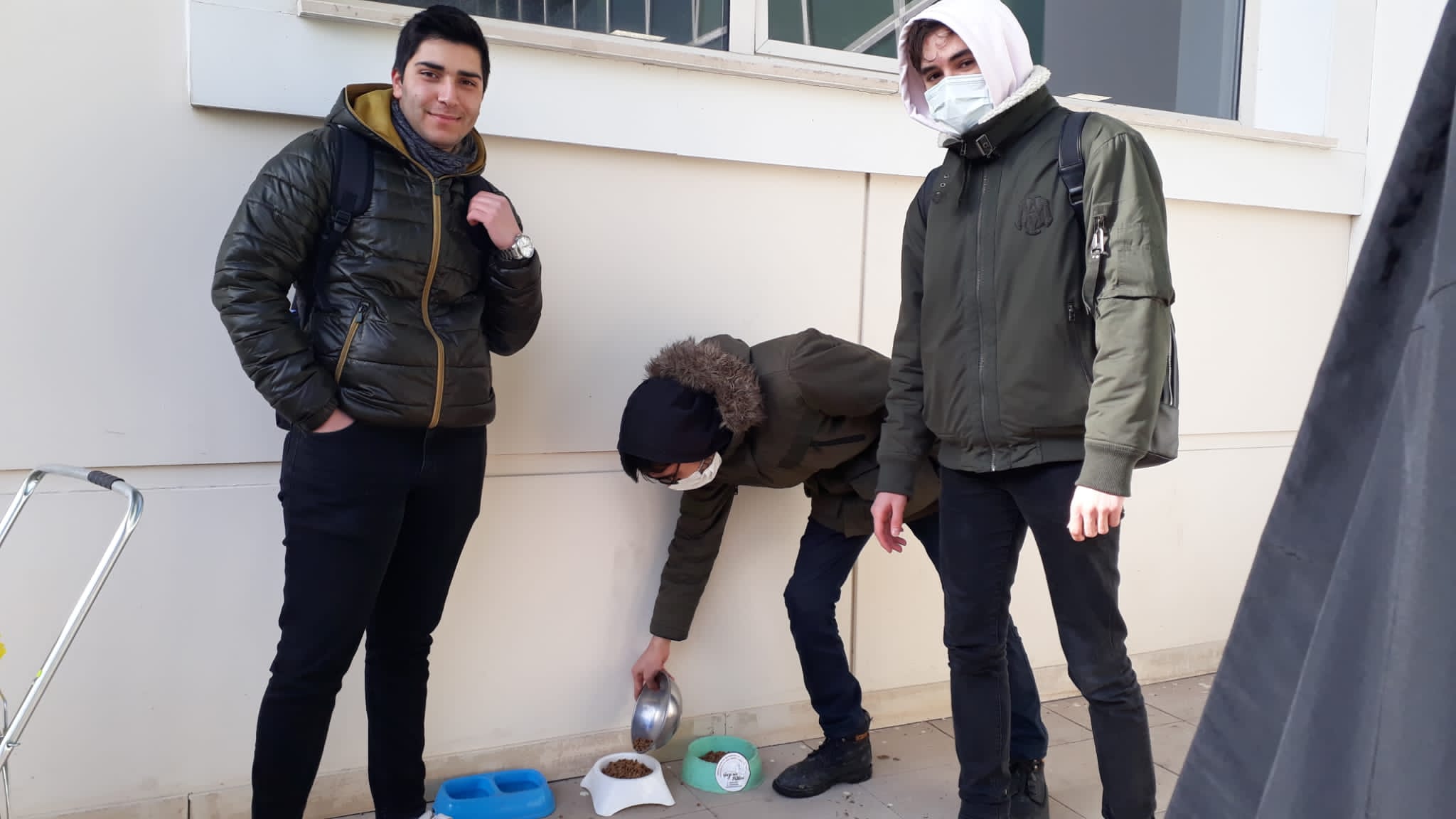 Gazinin patileri etkinliği-1