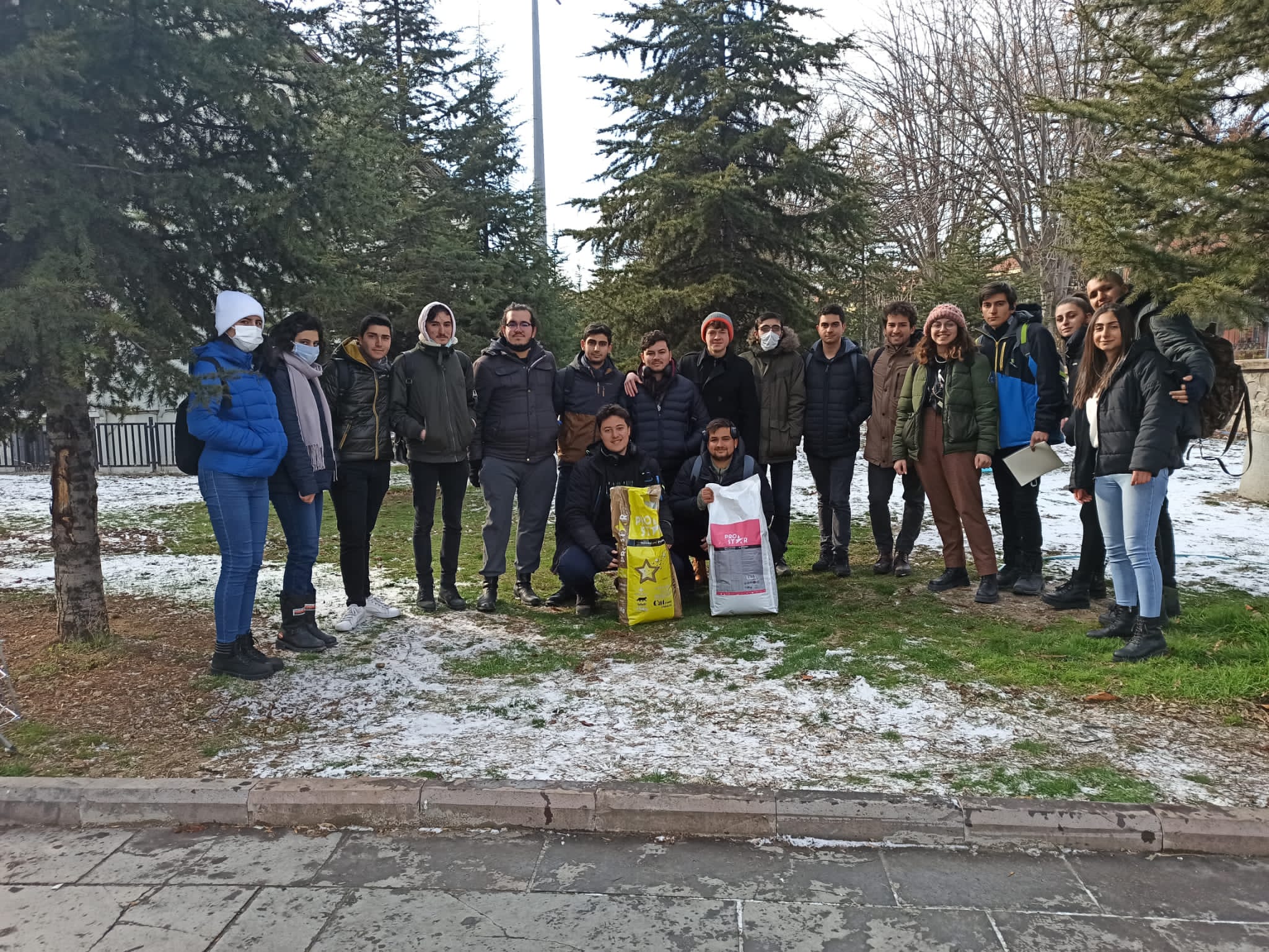 Gazinin patileri etkinliği-1