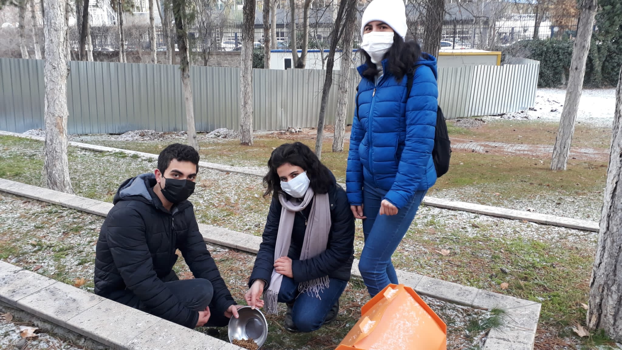 Gazinin patileri etkinliği-1