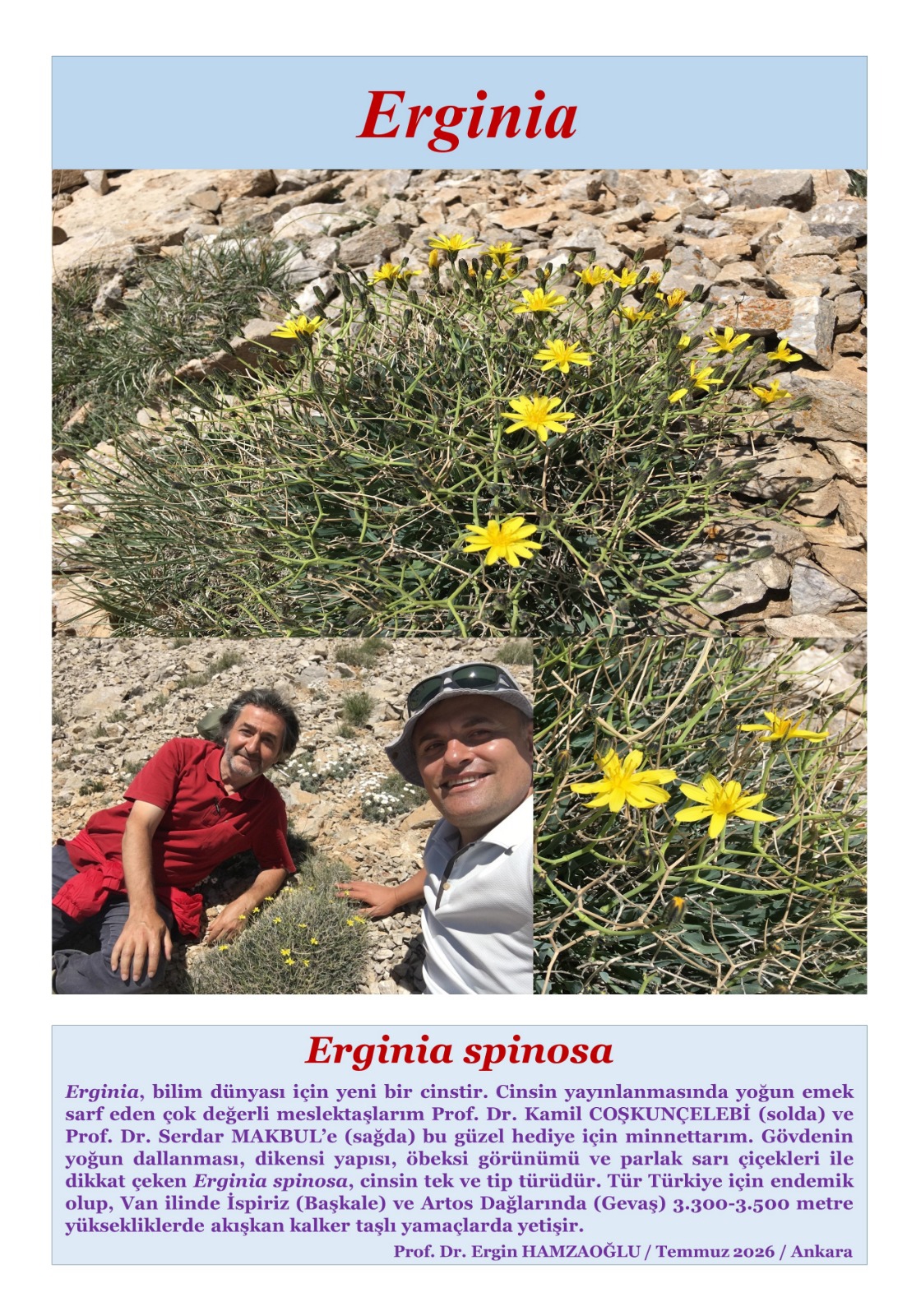 Ergin hoca-1